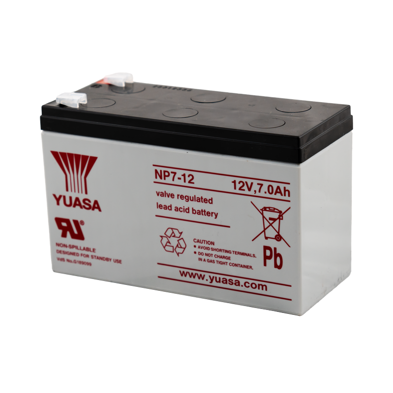 Batterie standard (nue)