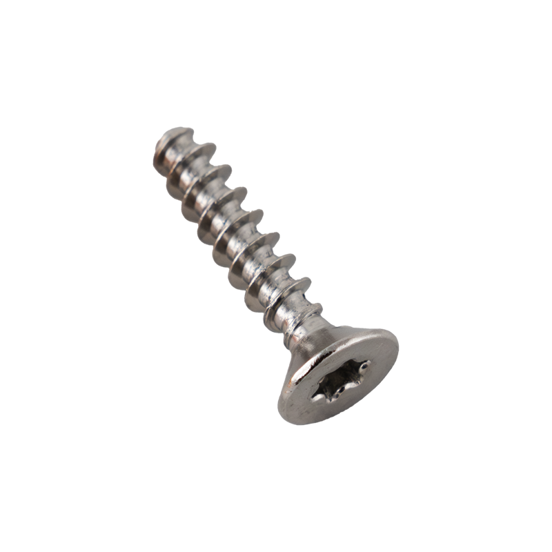 M4*20mm Inox Torx à tête fraisée pour plastique